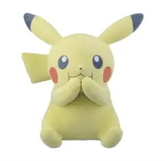 2025年最新】A賞 ピカチュウ ぬいぐるみの人気アイテム - メルカリ