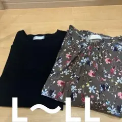 Item thumbnail for item cb313d01-c232-4ca8-9cd0-07b396045f53