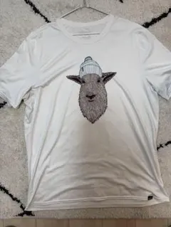 【希少・廃盤】パタゴニア キャプリーン クール デイリー グラフィック XL