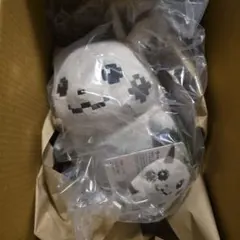 はじまりのピカチュウ