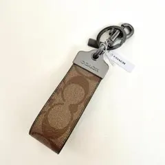 Item thumbnail for item e00010ef-2f6d-4f65-b0e7-cccf547d8bf7