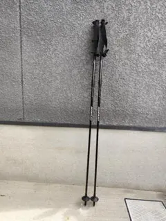 スキーストック105