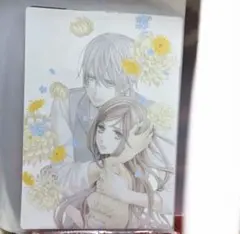 ヴァンパイア騎士 原画展 樋野まつり イラストカード 零 優姫 - メルカリ
