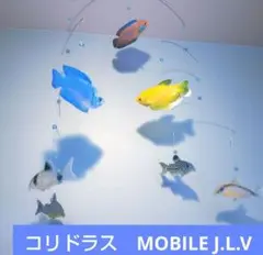 熱帯魚　コリドラス ドワーフグラミー　モビール