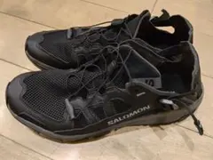 SALOMON TECHAMPHIBIAN 5 28cmのサムネイル