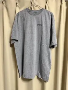 Patagonia パタゴニア Tシャツ L グレー Fitz Roy