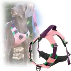 Item thumbnail for item 1729fdd9-0855-409a-9a64-4351248efbc8