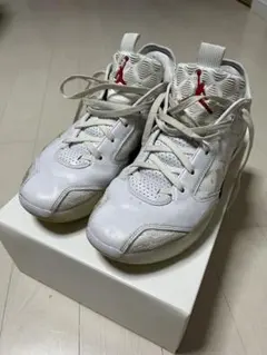 NIKE AIR JORDAN XXXIX PF 27.0cm ジョーダン39 - メルカリ