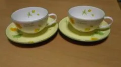 ヒロミチナカノ　カップ&ソーサー　2客セット 　花柄