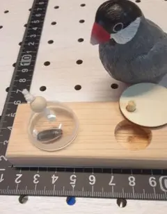 □□□□18〗バードトイ フォージングトイ インコ 鳥 おもちゃ - メルカリ