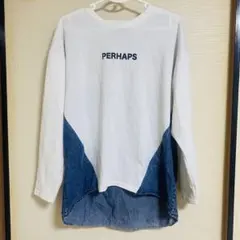 ロンT メンズ M 長袖 トップス