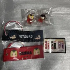 ハイキュー！！みにコレフライトタグコレクション　めじるしアクセサリー