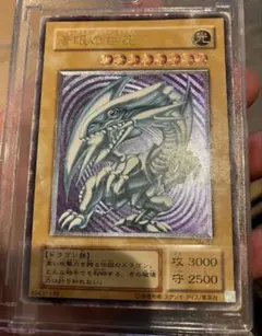 鳥*Z様 【歴戦個体】青眼の白龍　レリーフ　アルティメットレア　紫艶 歴戦個体】青眼の白龍 レリーフ アルティメットレア 紫艶 - メルカリ
