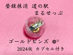 幻の道の駅まるせっぷピンズ4種 幻の道の駅まるせっぷピンズ4種 - メルカリ