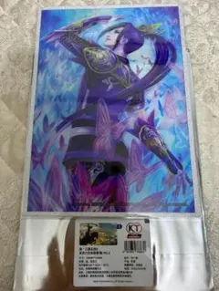 真・三國無双8 中国限定 KT上海 銀 アクリル色紙 蜀国 vol.1 鮑三娘