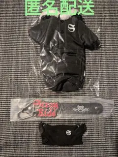 StrayKids　スキズ　dominateツアーアプグレグッズ三点セット