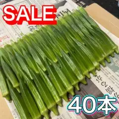 高知県産オクラ　新鮮おくら　即購入OK 産地直送　野菜40tgmpのサムネイル
