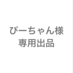 専用出品