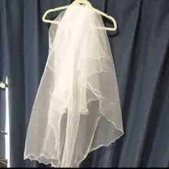 Item thumbnail for item 88cba965-57a0-45d0-bcb8-461e44c80404