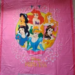 ディズニープリンセス　生地