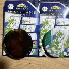 緑谷出久 缶バッジ 2個セット