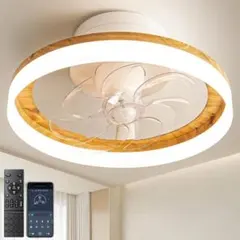 Item thumbnail for item 182238db-fd53-4de4-9f6d-32ed402d5abd