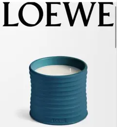 LOEWE ロエベ LUSCIOUS PEA 610G キャンドル 未開封 2025年最新】LOEWE キャンドルの人気アイテム - メルカリ
