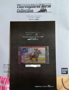 2026年最新】サラブレッドホース 直筆サインの人気アイテム - メルカリ