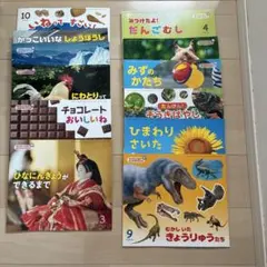 かがくのとも ビッグサイエンス キンダーブックしぜん 恐竜さんの絵本