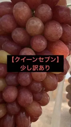 訳ありあり現品】【本日10/6発送】長野県産クイーンセブン約2.44kg