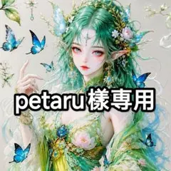petaru (フォロー割あります)樣専用ページ