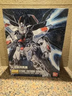 2026年最新】MG ストライクフリーダム 大河原邦男の人気アイテム