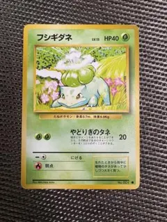 初版】ポケモンカード 旧裏 フシギダネ マークなし 第1弾 スターター