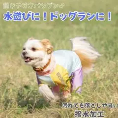 犬用ラッシュガード ロンパース XS 水遊び 海 プール SUP ドッグウェア