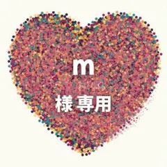 m 様　専用ページ