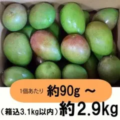 ☆小さい☆摘果マンゴー　約7.5kg 橙5-5】約4.7kg グリーンマンゴー 青マンゴー マンゴー 摘果マンゴー