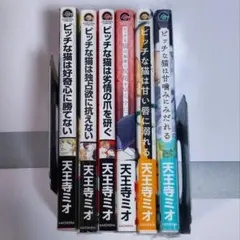 Item thumbnail for item 03d94f34-fd11-43c6-b96c-bd87071393dd