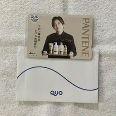 二宮和也 非売品 クオカード 使用済み パンテーン　QUO カード