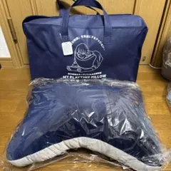 Item thumbnail for item 3b016f32-b7d6-4211-b511-7505469183ec