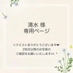 清水様 おまとめ4点