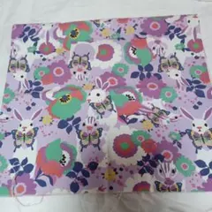 Item thumbnail for item 8c727d68-f93a-4763-aed2-e03461365bbf