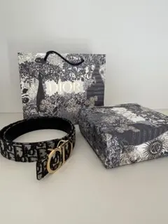 Dior ロゴ入りキャンバスベルト ディオール ベルト - メルカリ
