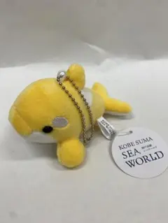 神戸須磨シーワールド シャチ ショコラデュオ ストロベリーチョコ