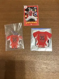 ホークス 缶バッジ・キーチェーン モイネロ 投手/限定ステッカー 上沢 投手