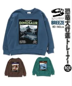 ☆BREEZE×福井県立恐竜博物館☆ ☆☆恐竜ボックストレーナー☆☆