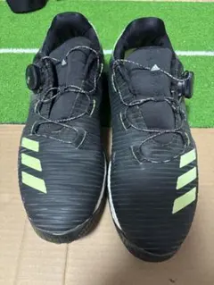 Item thumbnail for item 86f3da67-3c25-48ce-a96b-a24dfb4d9f47