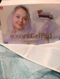 Item thumbnail for item b31a86e1-49f6-433e-9bbc-42936b071c11