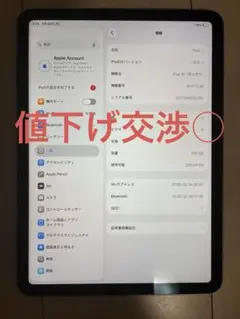 Apple iPad Air 第4世代 256GB 本体