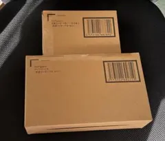 S.H.Figuarts 真骨彫製法 仮面ライダー2号NEXT サイクロン2号