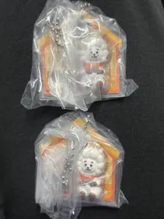 BT21 パッケージチャーム RJ2個セット